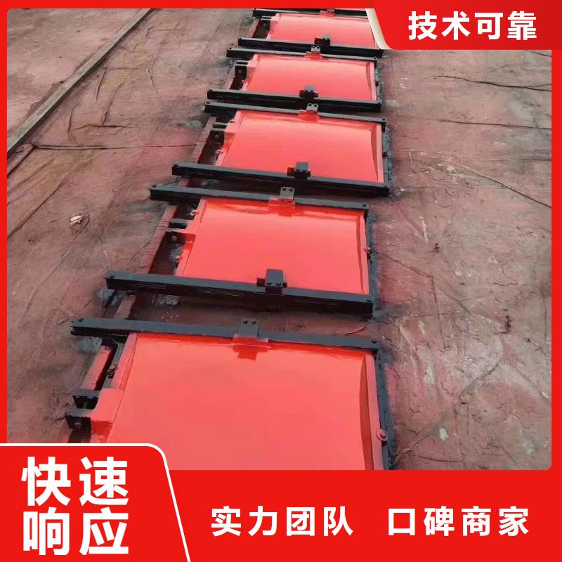 铸铁闸门-ZMQF铸铁镶铜闸门直供价优