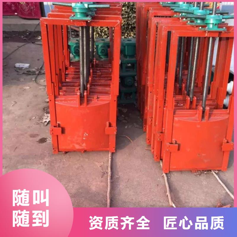 铸铁镶铜闸门-水电站闸门品质卓越