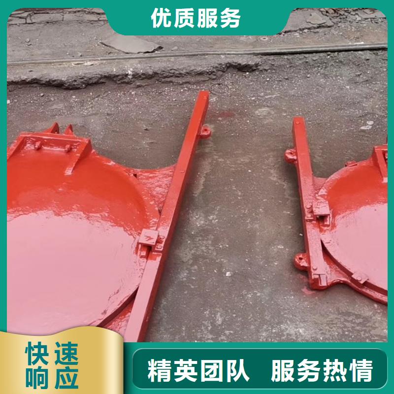 河道铸铁闸门-平面钢闸门防腐钢制闸门信誉良好