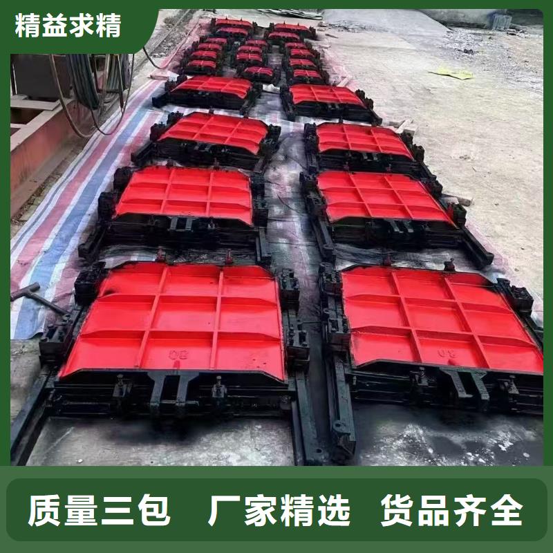 平面拱形闸门-pz镶铜铸铁圆形闸门直供价优