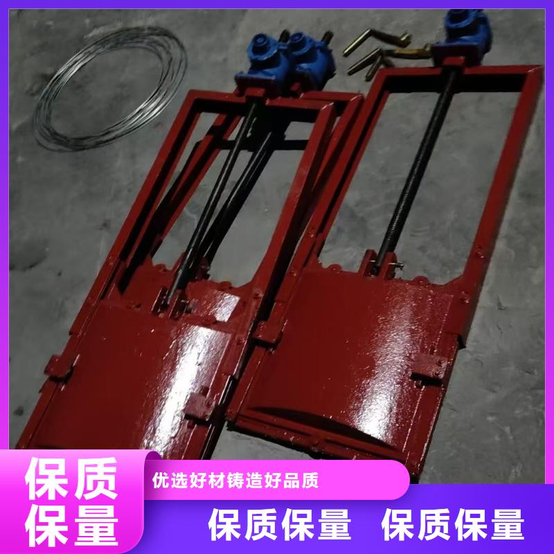 铸铁镶铜闸门-异形铸铁双向止水闸门智慧水利