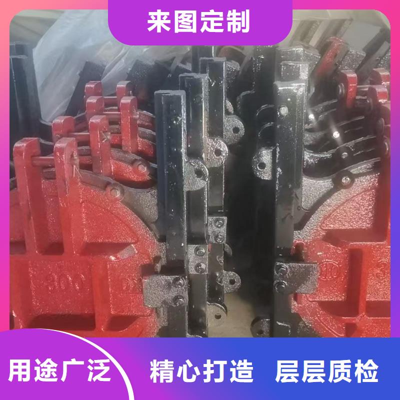 铸铁闸门-ZMQF铸铁镶铜闸门直供价优