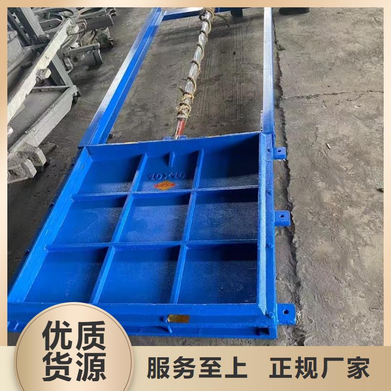 卖闸门启闭器的公司