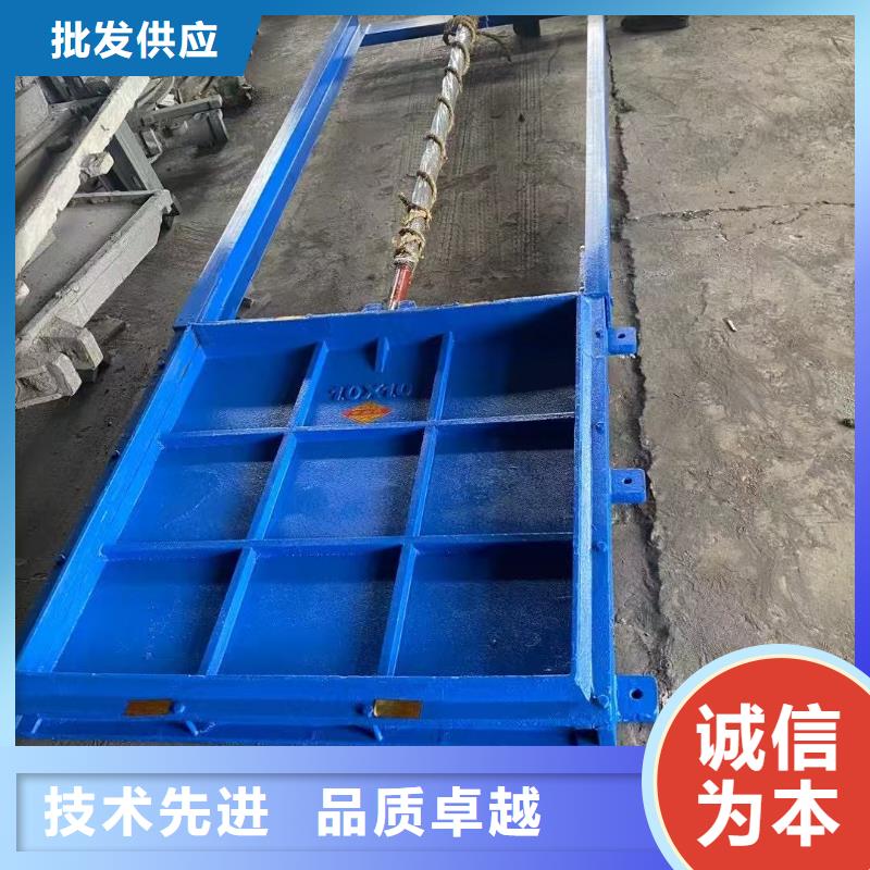 铸铁镶铜闸门-止水带橡胶创新