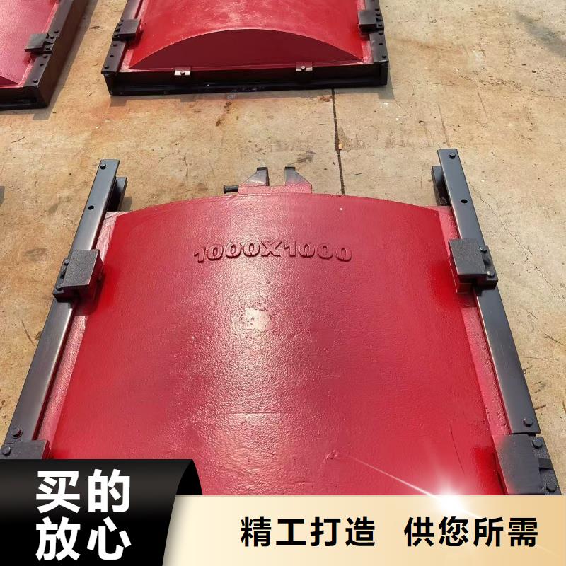 电动闸门-瑞鑫启闭机铸铁闸门清污机钢闸门拍门水工机械厂