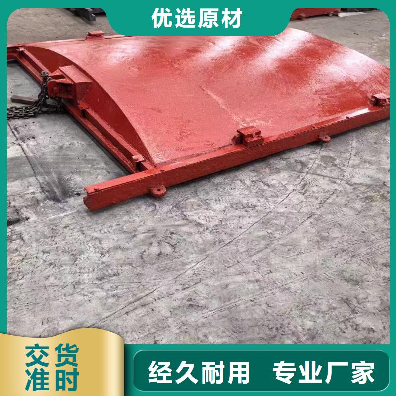 铸铁镶铜闸门-异形铸铁双向止水闸门智慧水利