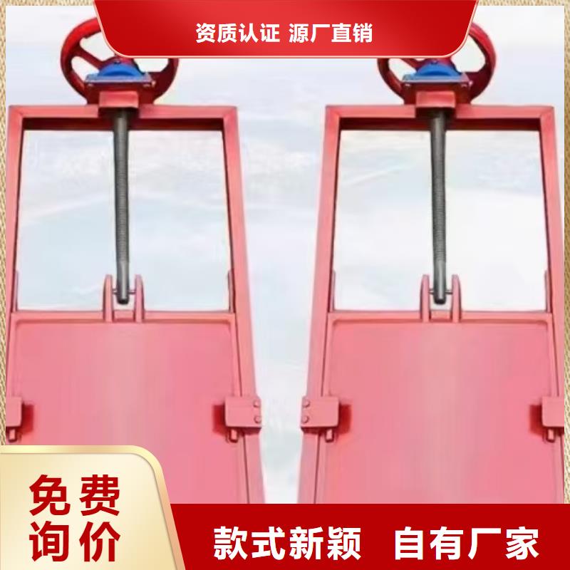 河道铸铁闸门-螺杆式闸门启闭机源头厂家