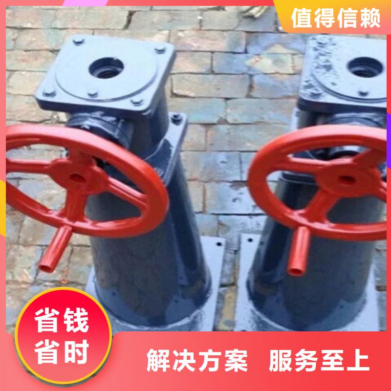 手电两用启闭机厂家直接发货