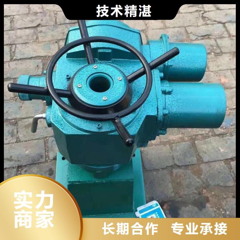 卷扬启闭机手电螺杆启闭机提供一站式解决方案