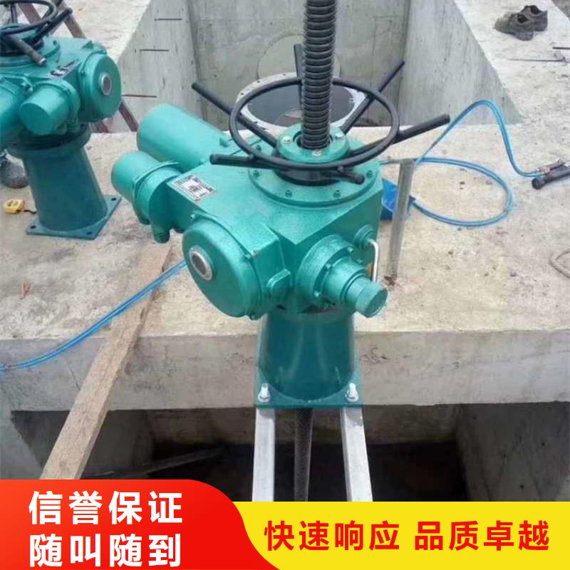 启闭机手电两用螺杆启闭机老牌厂家