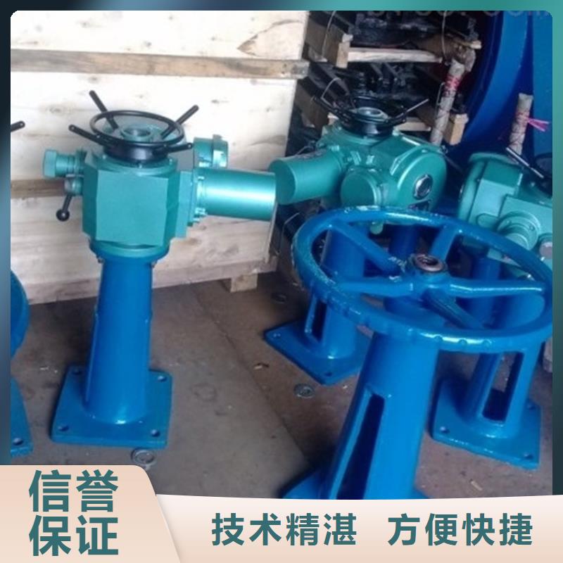启闭机手电两用螺杆启闭机老牌厂家
