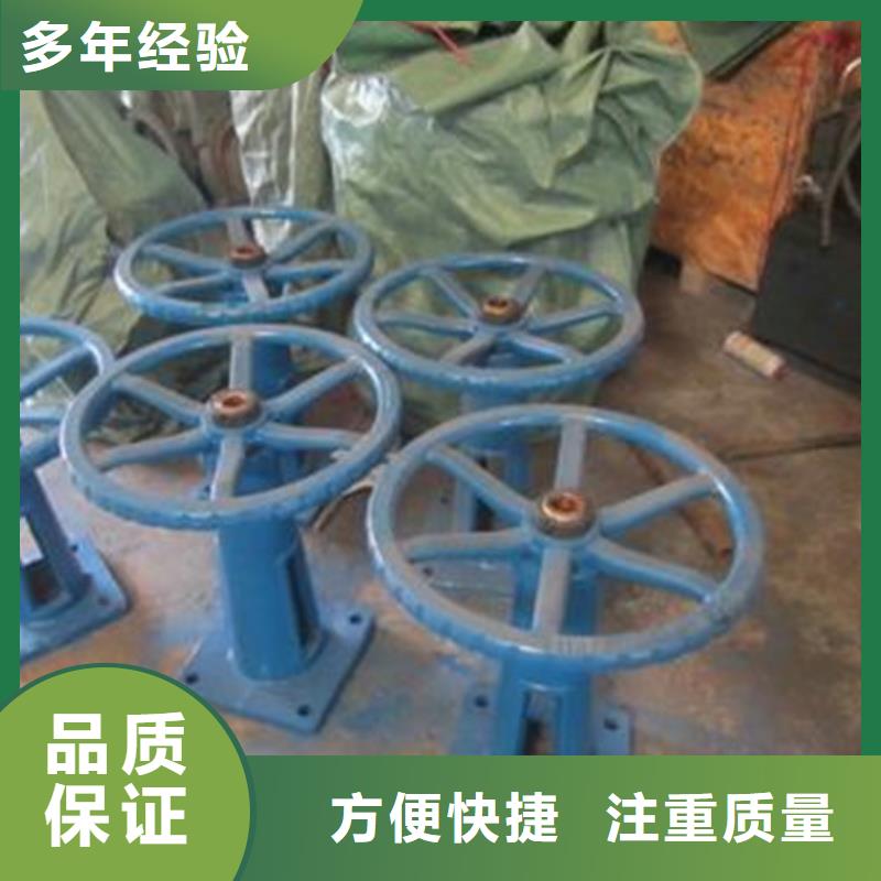 QL手电两用螺杆式启闭机-欢迎选购