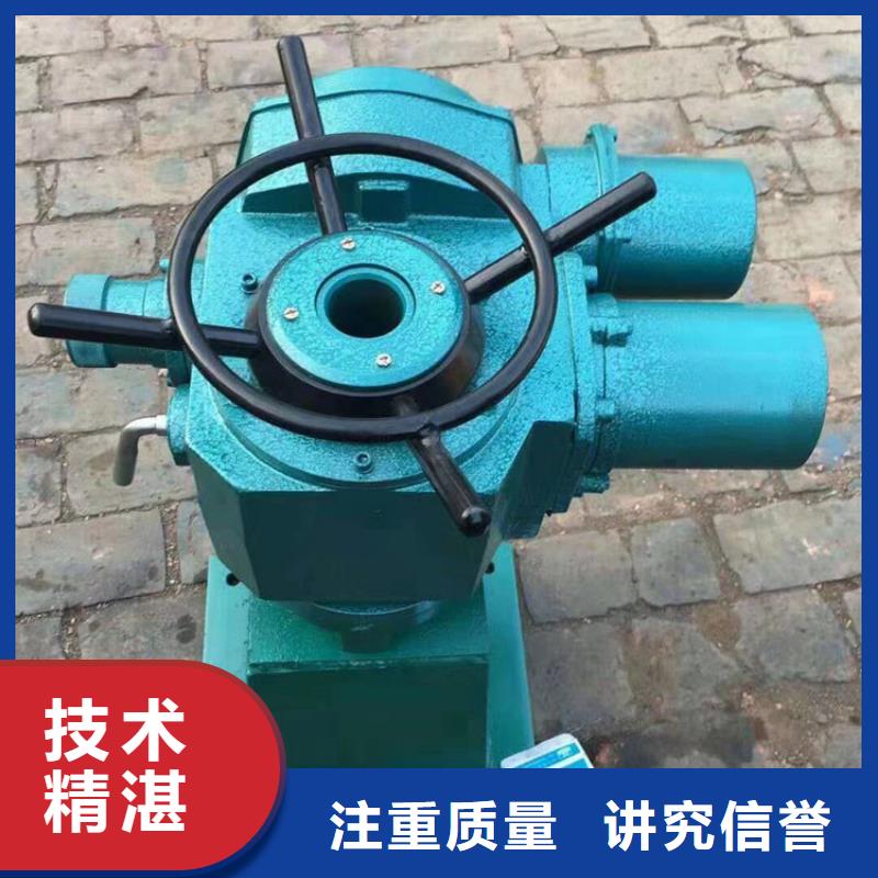 启闭机闸门螺杆式启闭机免费安装调试,终身维护!