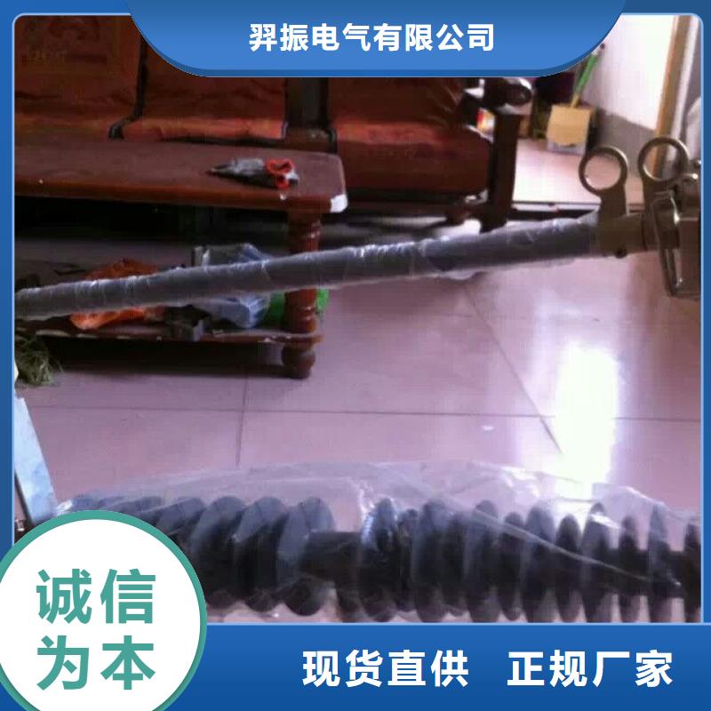 熔断器【避雷器】有实力有经验