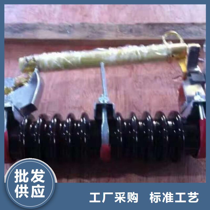 【熔断器真空断路器实力雄厚品质保障】