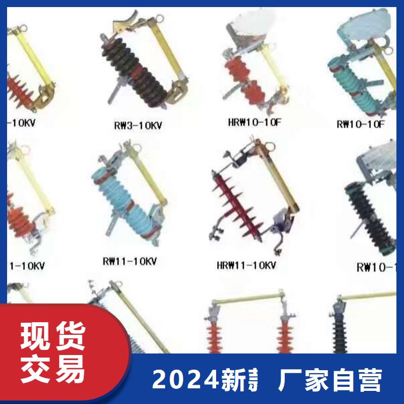 熔断器双电源真空断路器一个起售