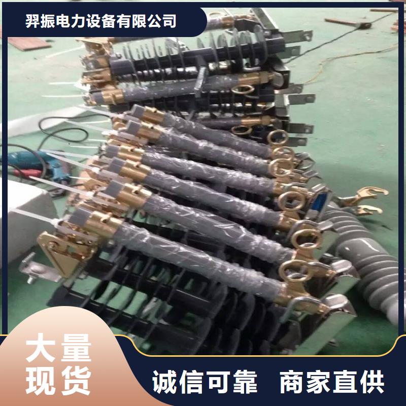 【熔断器真空断路器实力雄厚品质保障】
