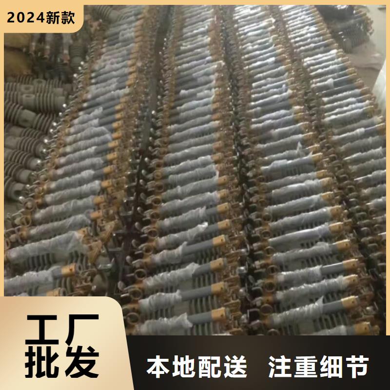 熔断器金属氧化物避雷器厂家货源