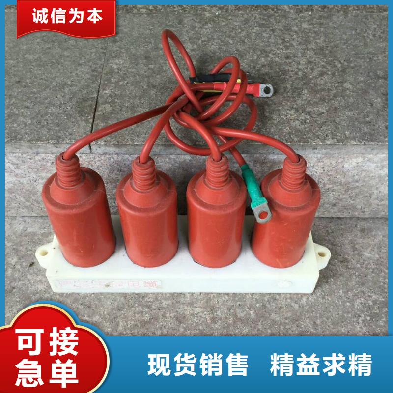 【羿振电气】过电压保护器TBP-A-35/200