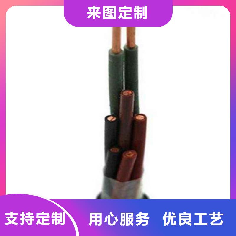 特种电缆信号电缆厂家