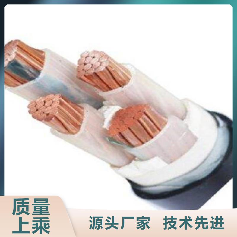 【特种电缆】,屏蔽电缆服务始终如一