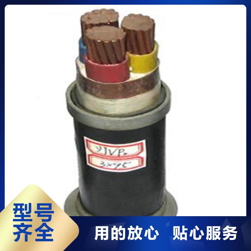 【特种电缆】,屏蔽电缆服务始终如一