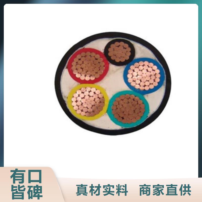 特种电缆信号电缆实力大厂家
