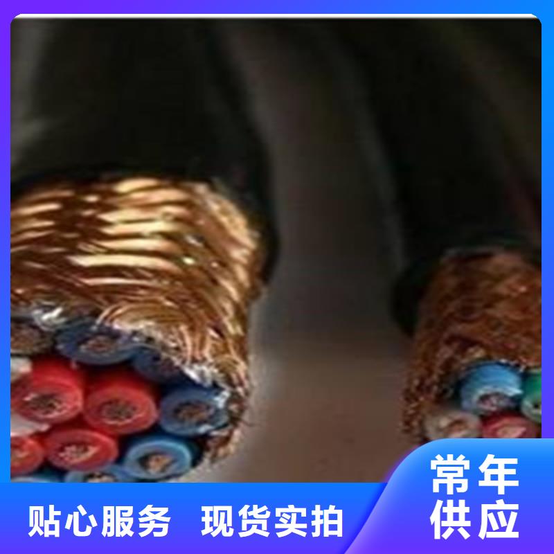 计算机电缆信号电缆敢与同行比价格