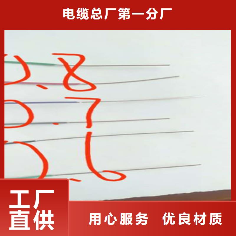 低烟无卤计算机电缆WDZ-DJVPVP222X2X1.0