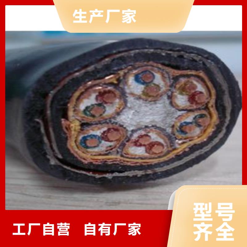 计算机电缆信号电缆匠心制造