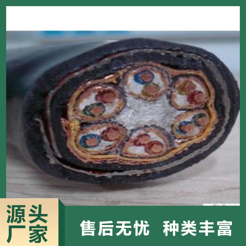 计算机电缆信号电缆敢与同行比价格
