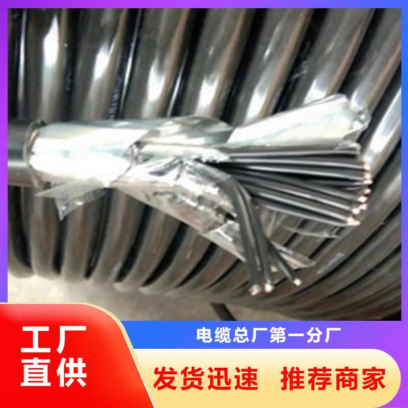 控制电缆通信电缆工艺层层把关