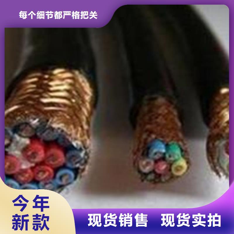 耐高温电缆-本安防爆电缆精心打造
