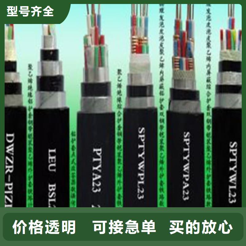 【铁路信号电缆电缆生产厂家老品牌厂家】