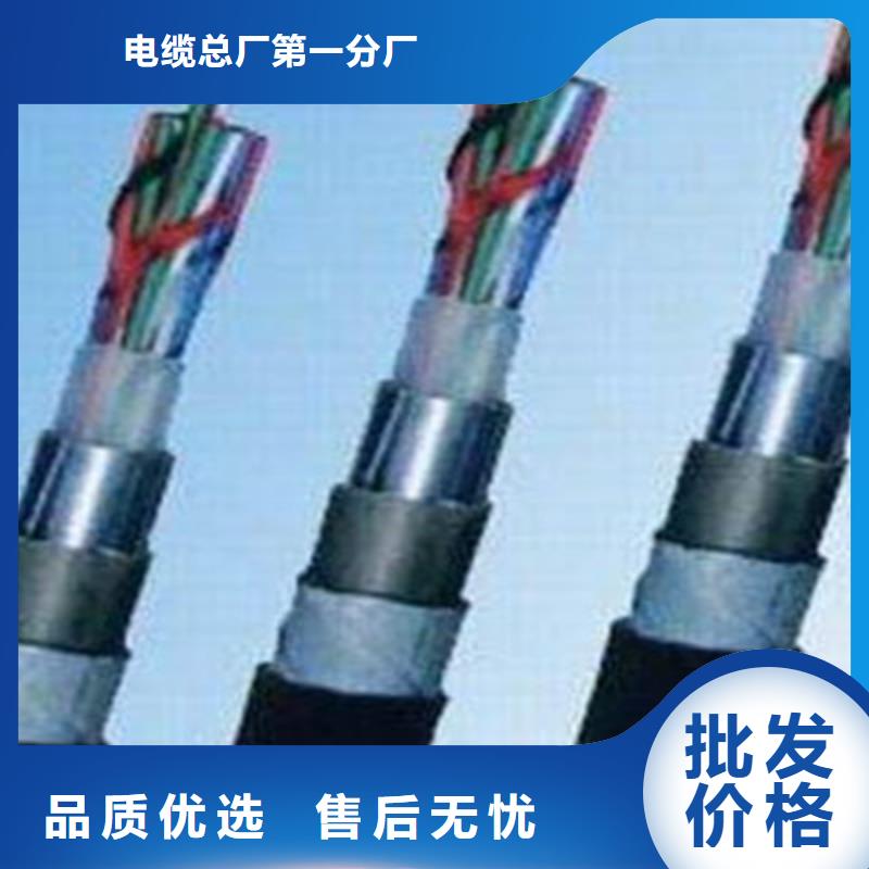 【铁路信号电缆电缆生产厂家老品牌厂家】