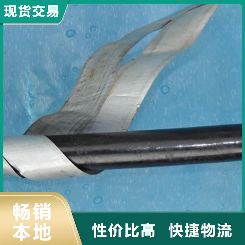 【铁路信号电缆电缆生产厂家老品牌厂家】