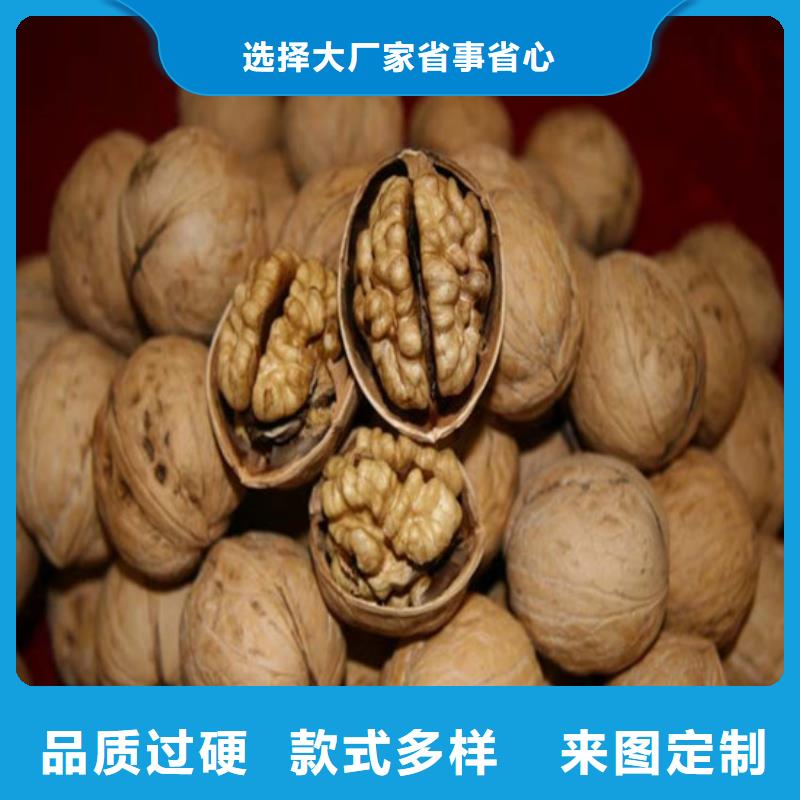 核桃苗果树苗设备齐全支持定制