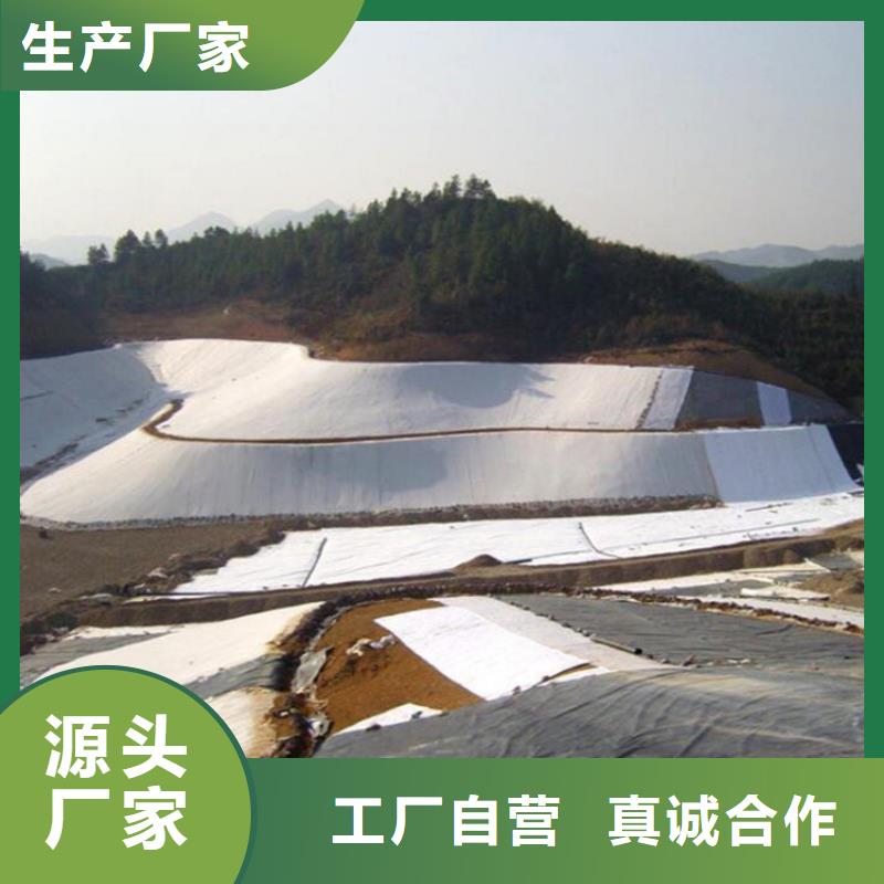 土工膜土工布大厂家实力看得见