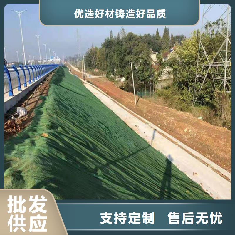 三维植被网【抗裂贴】保障