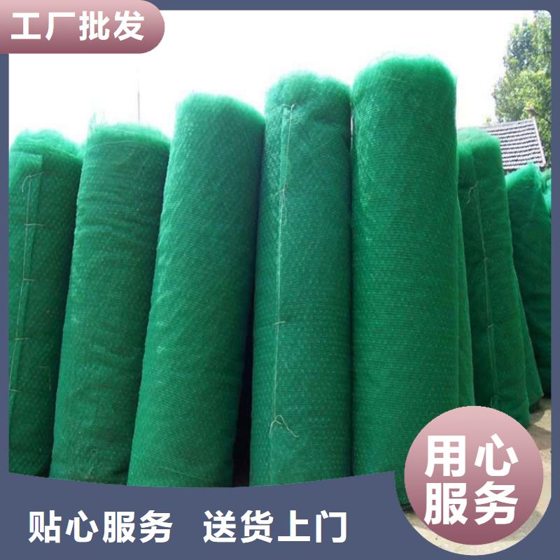 三维植被网【抗裂贴】保障