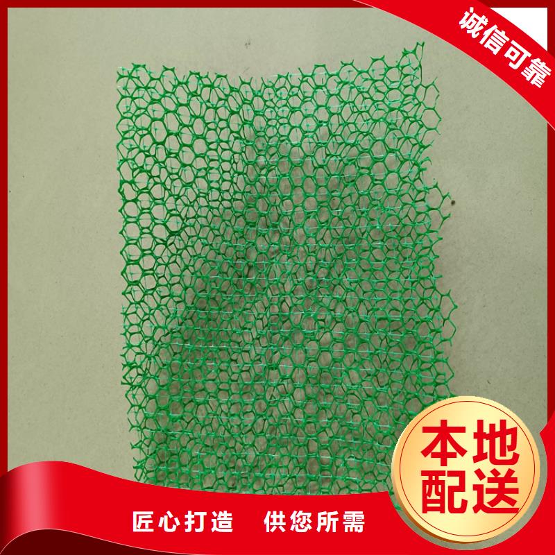 三维植被网【抗裂贴】保障