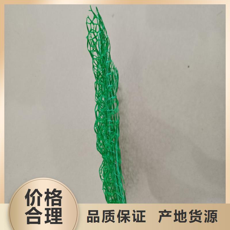 三维植被网【抗裂贴】保障