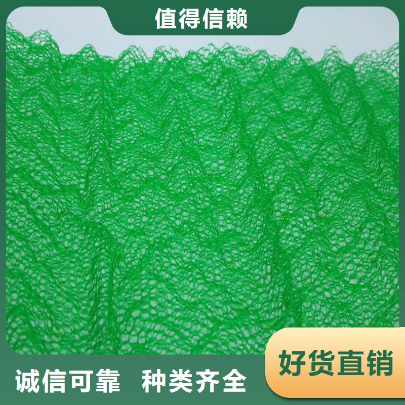三维植被网【抗裂贴】保障