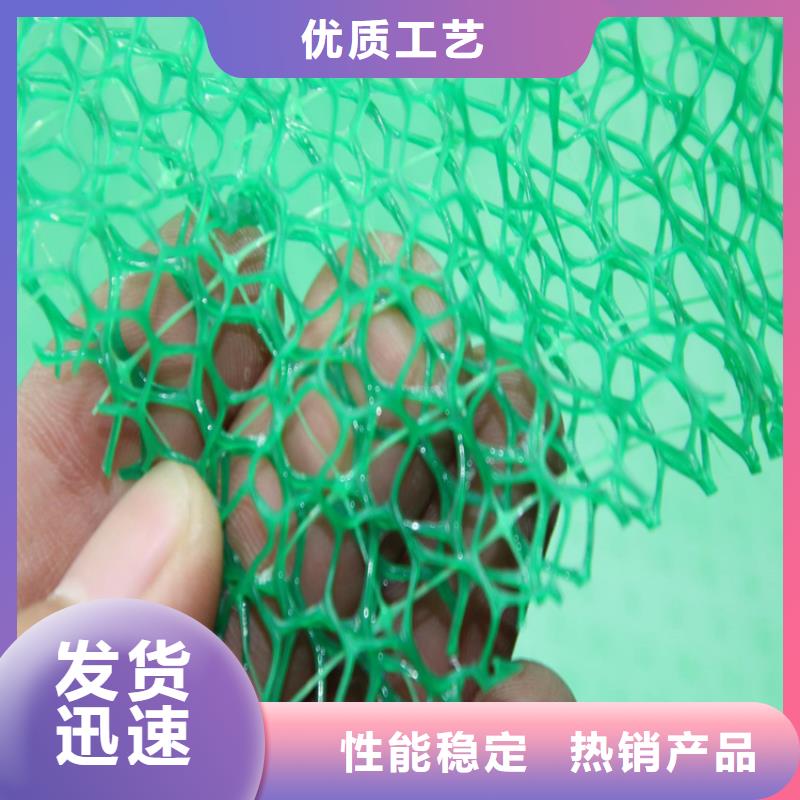 三维植被网【抗裂贴】保障