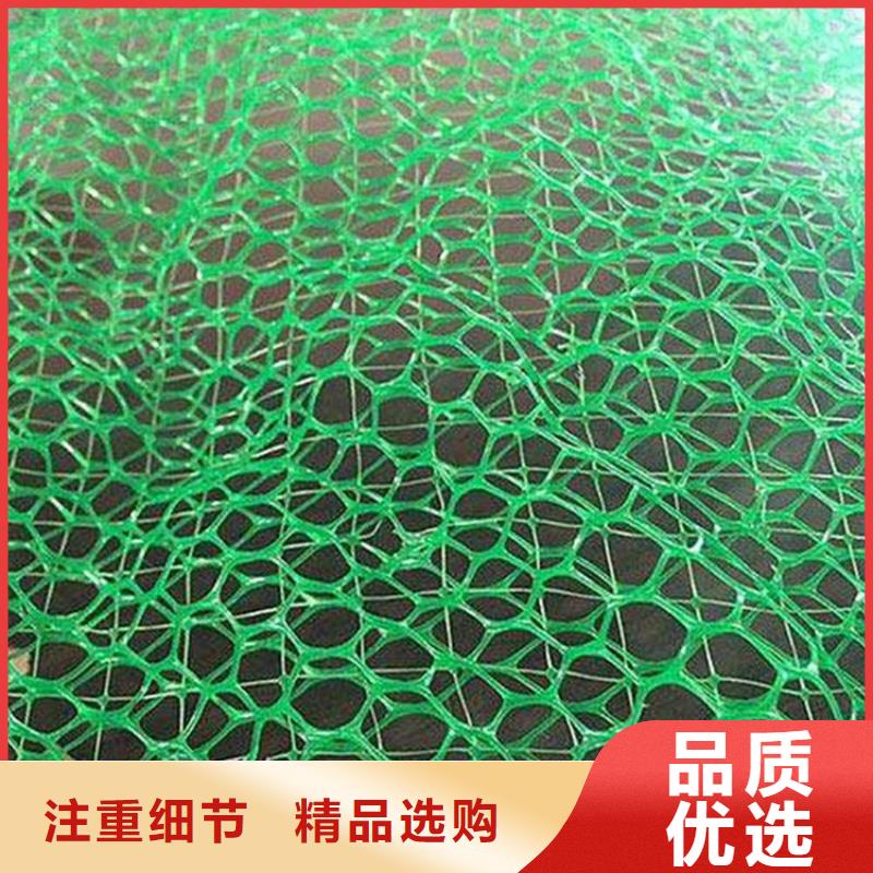 三维植被网【抗裂贴】保障