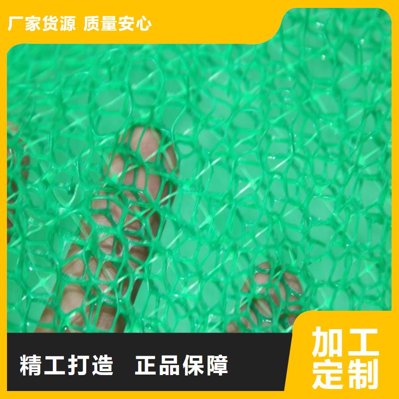 三维植被网【抗裂贴】保障