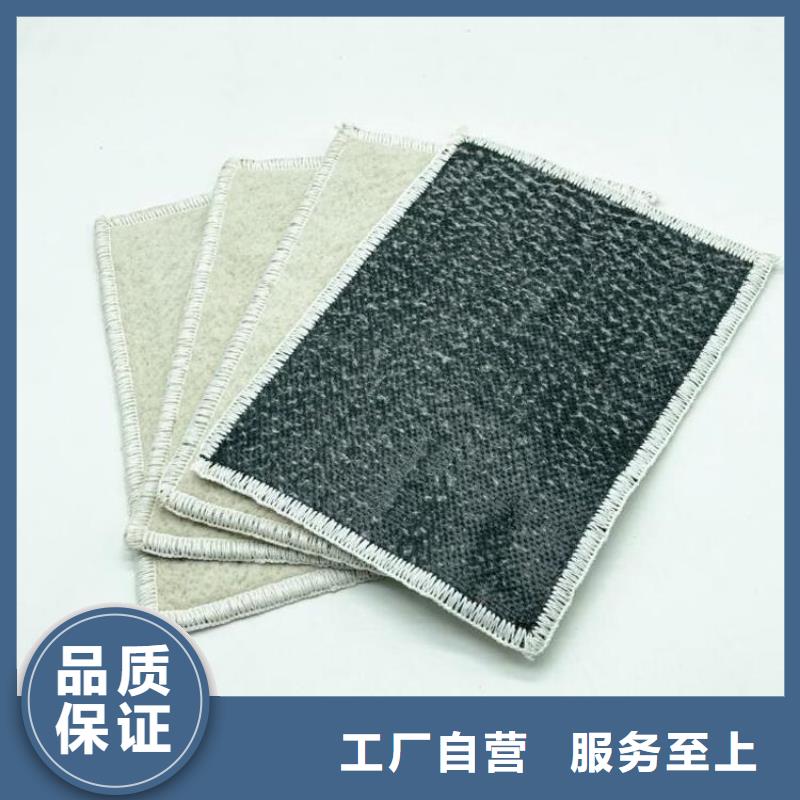 膨润土防水毯植草格产品细节