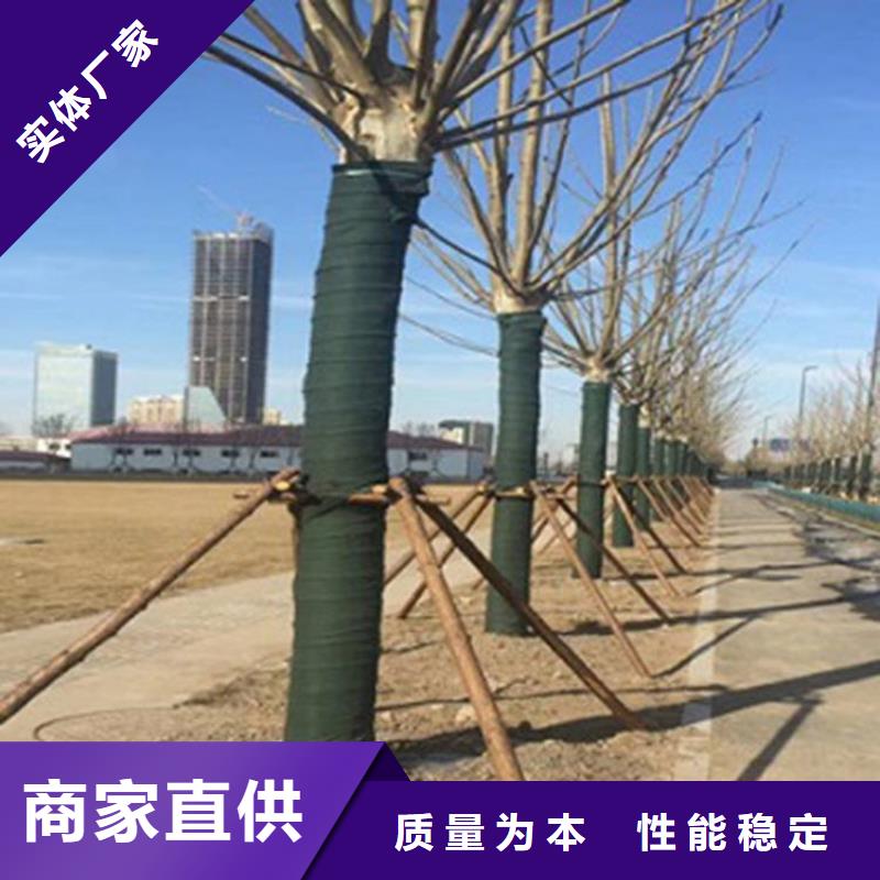 裹树布土工布使用方法