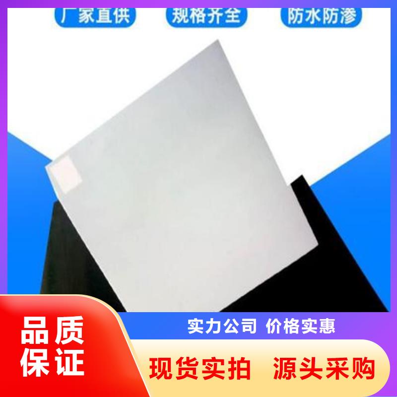 防水板_防渗膜专业的生产厂家