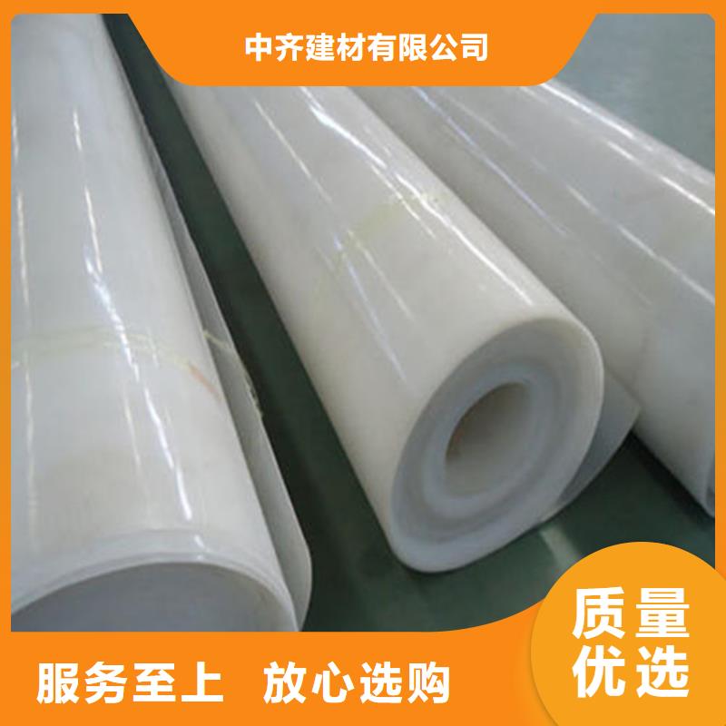 防水板_防渗膜专业的生产厂家